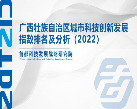 操逼娑鸡巴视频【成果发布】广西壮族自治区城市科技创新发展指数排名及分析（2022）